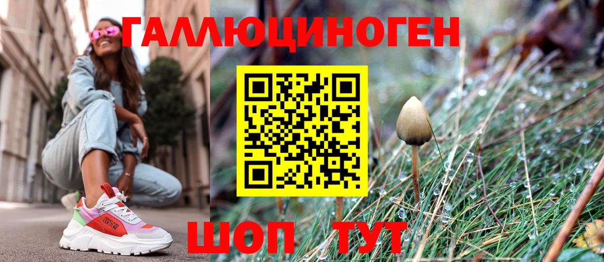 Псилоцибиновые грибы ЛСД Волжский